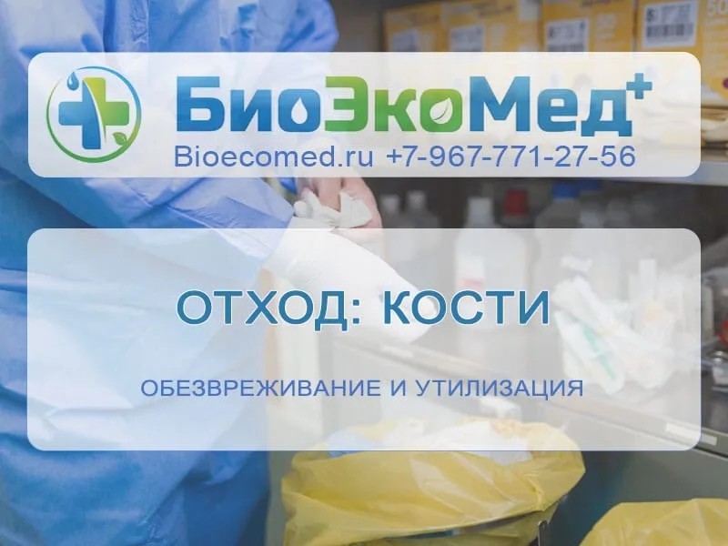 Отход: кости